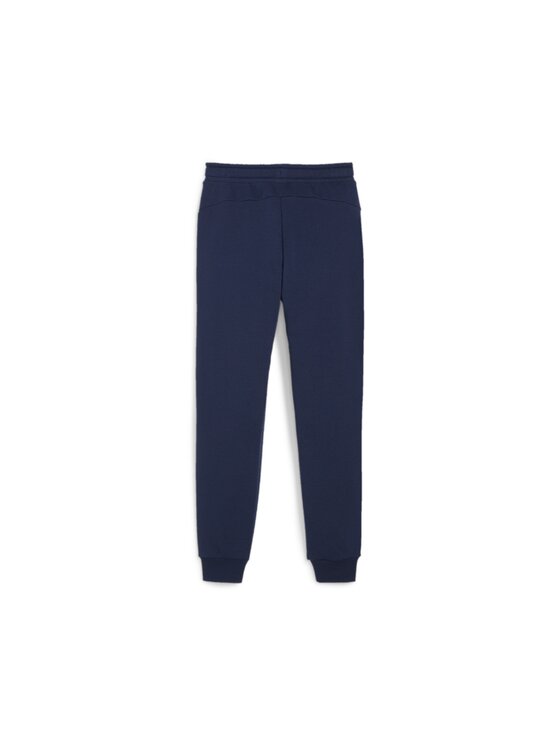 Puma Puma Spodnie dresowe 679257 Niebieski Regular Fit