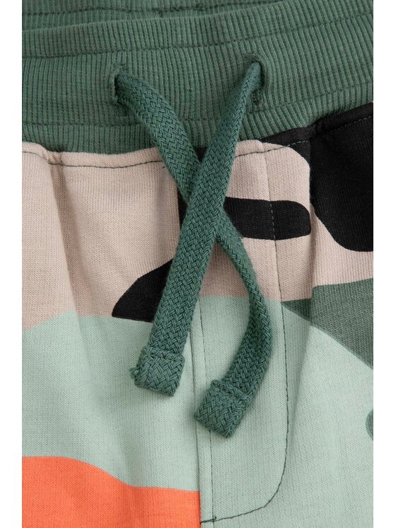 Coccodrillo Coccodrillo Szorty WC5120502WBJ-022 Kolorowy Regular Fit