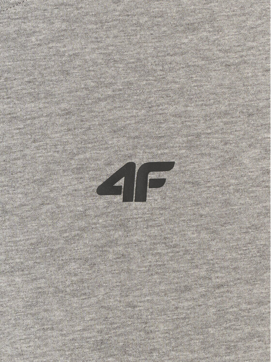 4F 4F T-Shirt NOS Kolorowy Regular Fit