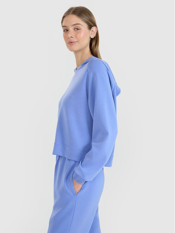 4F 4F Bluza COMMON GROUND Niebieski Regular Fit