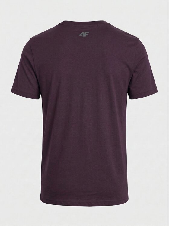4F 4F T-Shirt Z-TTSHM3948-3 Kolorowy Regular Fit
