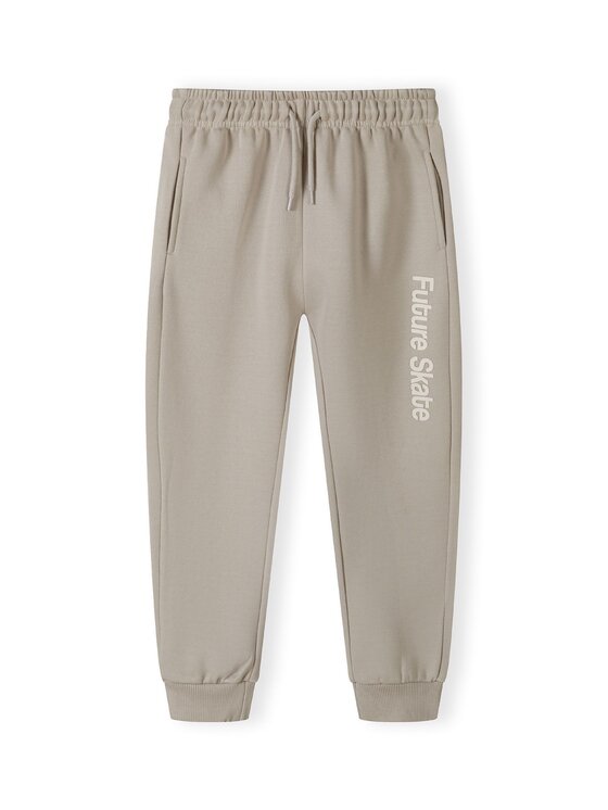 minoti minoti Komplet dresowy 27fleece84 Szary Regular Fit