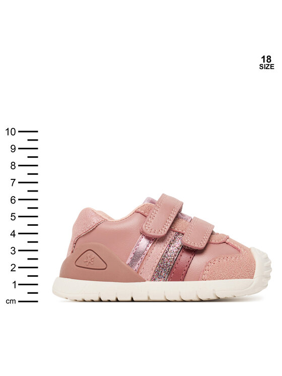 Biomecanics Biomecanics Tossud 251129 Roosa