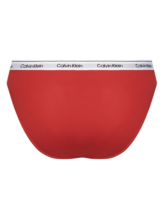 Calvin Klein Underwear Calvin Klein Underwear Set 5 parov klasičnih spodnjih hlačk 000QD5208E Pisana