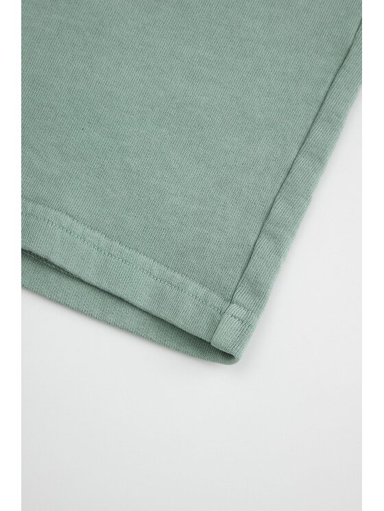 Coccodrillo Coccodrillo Šortky z materiálu WC6120502TBK-011 Zelená Regular Fit