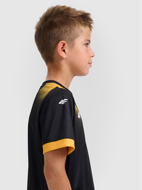 4F 4F Koszulka techniczna TEAMWEAR Kolorowy Regular Fit