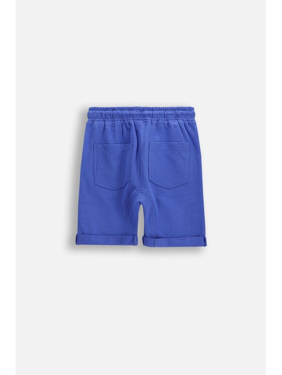 Coccodrillo Coccodrillo Šortky z materiálu WC6120501HBK-014 Modrá Regular Fit