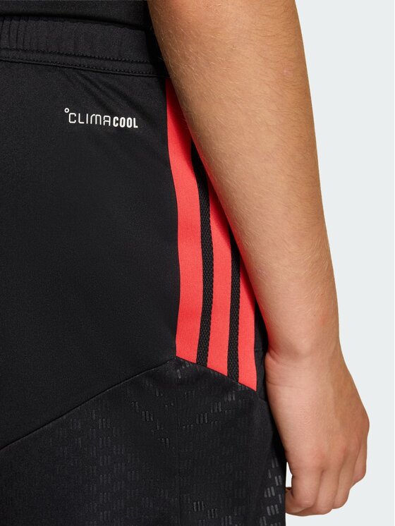 adidas adidas Szorty sportowe 158857 Czarny Regular Fit