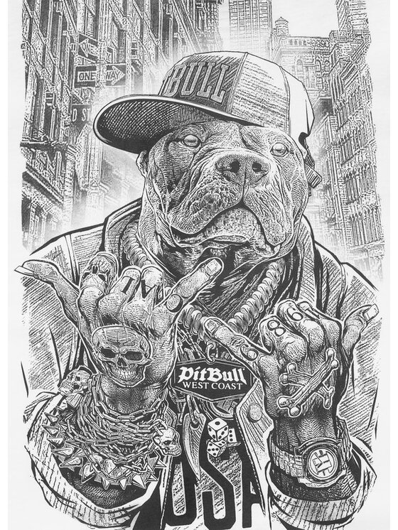 PITBULL PITBULL T-Shirt PITBULL AVENUE Biały Regular Fit