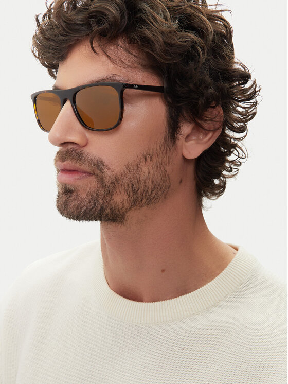 Ray-Ban Ray-Ban Päikeseprillid 0RB2216 902/33 Pruun