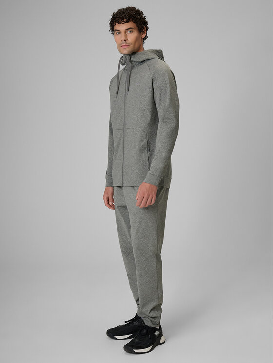 4F 4F Spodnie dresowe BASIC+ Szary Regular Fit