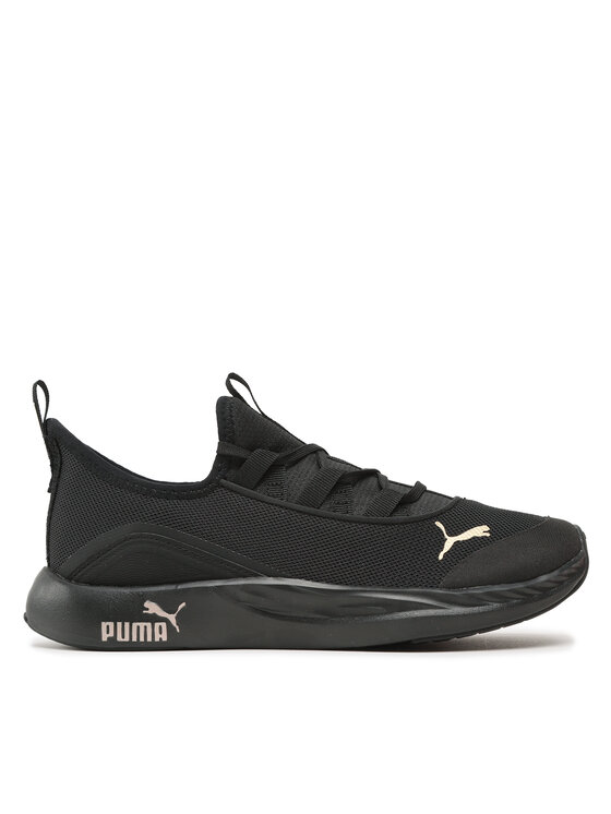 Legacy puma discount