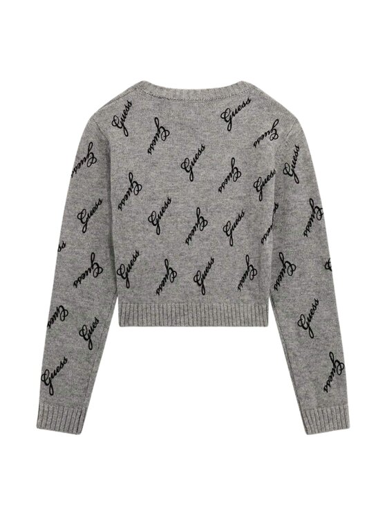 Guess Kids Guess Kids Maglione LS SWEATER Grigio Regular Fit