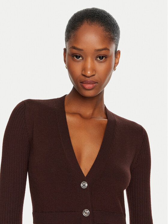 PINKO Pinko Pletena obleka Riserva 104017 A15S Rjava Regular Fit