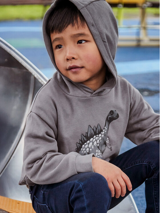 Mayoral Mayoral Felpa 4407 Grigio Regular Fit