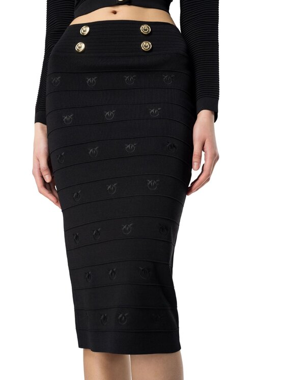 PINKO Pinko Gonna STAPELIA GONNA 102883A1LKZ99 Nero Regular Fit