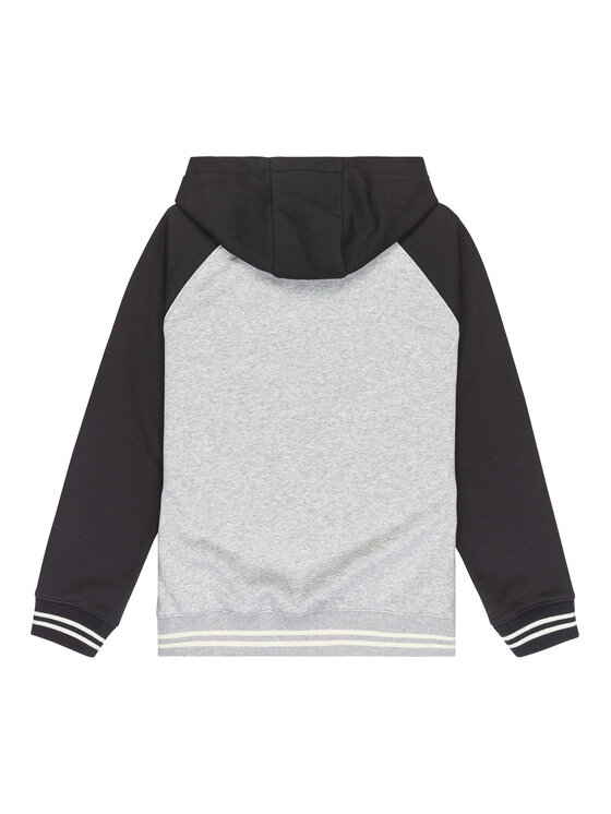 Quiksilver Quiksilver Mikina Knowledge Area EQBFT03949 Farebná Regular Fit
