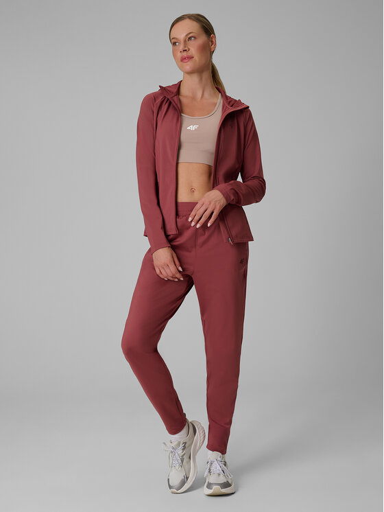 4F 4F Spodnie dresowe BASIC+ Brązowy jasny Regular Fit