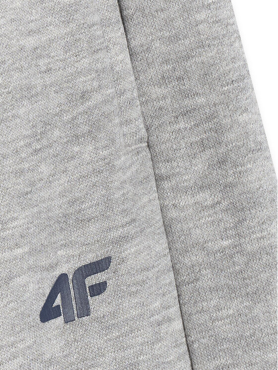 4F 4F Spodnie dresowe CAMPUS VIBES Szary jasny Loose Fit
