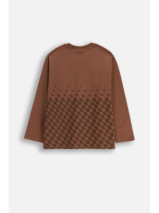Coccodrillo Coccodrillo T-Shirt ZC5143101CBJ-018 Hnědá Regular Fit
