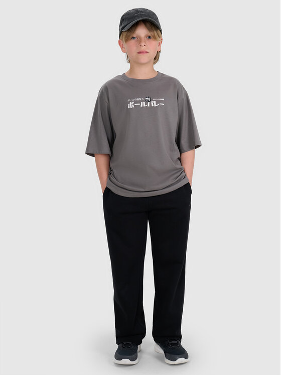4F 4F Spodnie dresowe BASIC+ Czarny Regular Fit