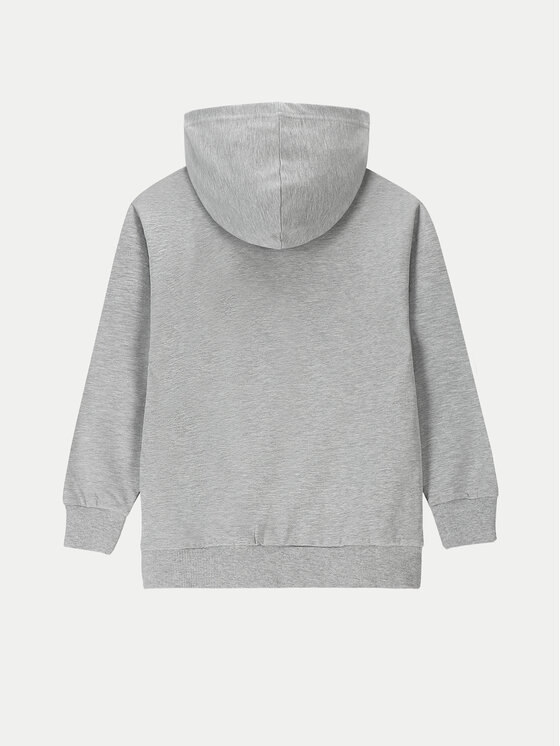 Coccodrillo Coccodrillo Sweatshirt WC4132302LBD Grau Regular Fit