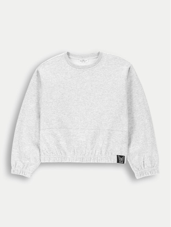 Coccodrillo Coccodrillo Суитшърт ZC4132601MGJ Сив Regular Fit