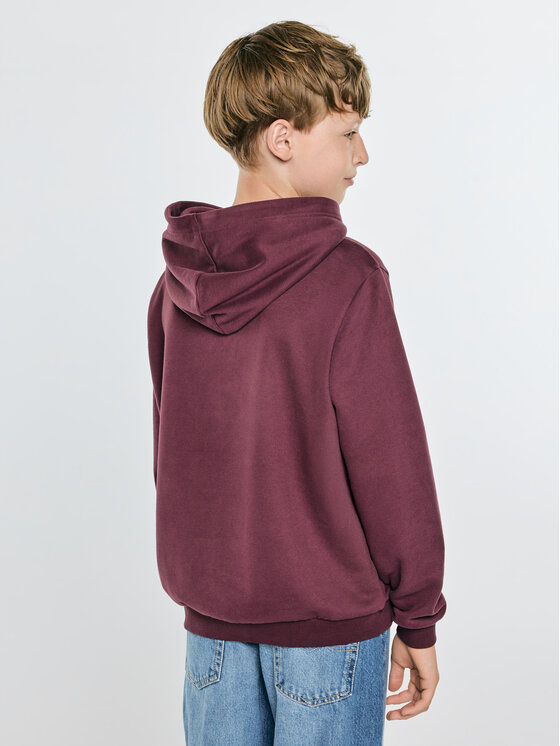 BIG STAR BIG STAR Bluza MARK Bordowy Basic Fit