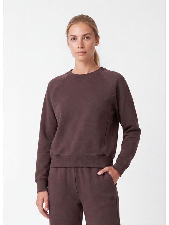PITBULL PITBULL Bluza DISCOVERY Brązowy Regular Fit