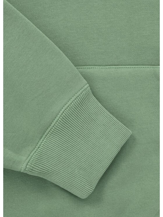 PITBULL PITBULL Bluza Washed Manzanita Zielony Regular Fit