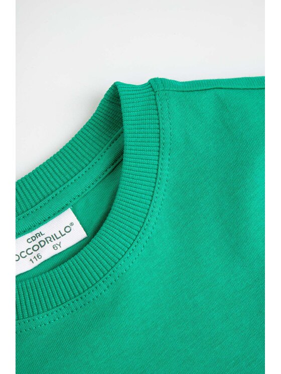 Coccodrillo Coccodrillo T-Shirt ZC6143203ABK-011 Zielony Regular Fit