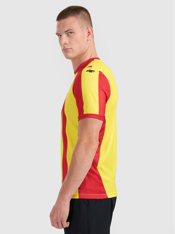 4F 4F Koszulka techniczna TEAMWEAR Kolorowy Regular Fit