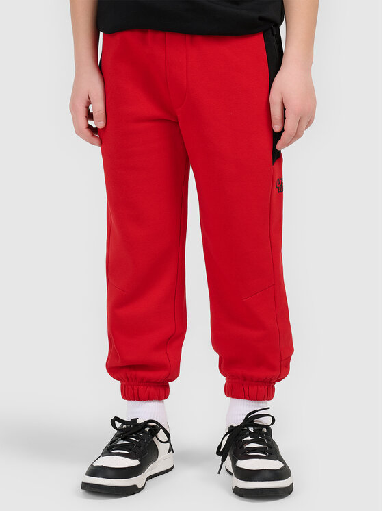 4F 4F Spodnie dresowe ESPORTS RACING Czerwony Regular Fit
