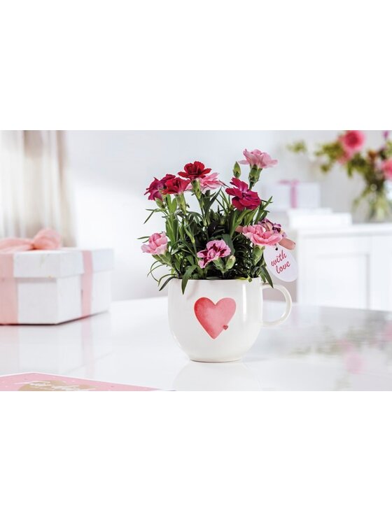 Villeroy & Boch Villeroy & Boch Kubek 1016898000 Biały
