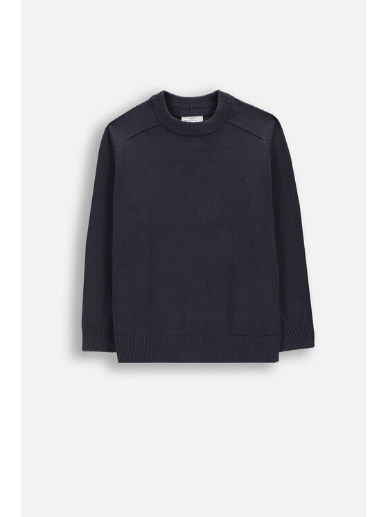 Coccodrillo Coccodrillo Sweter ZC5172103EJB-015 Granatowy Regular Fit