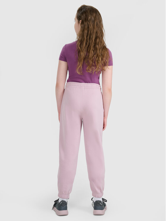 4F 4F Spodnie dresowe BASIC+ Różowy jasny Regular Fit
