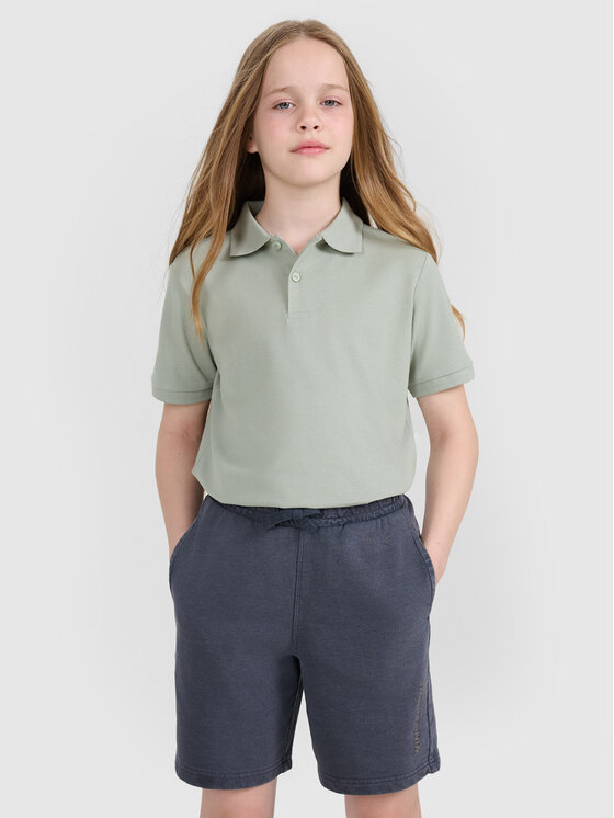 4F 4F Polo BASIC+ Zielony Regular Fit