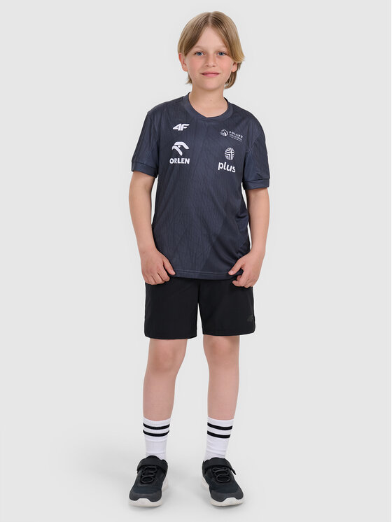 4F 4F Koszulka techniczna TEAMWEAR Kolorowy Regular Fit