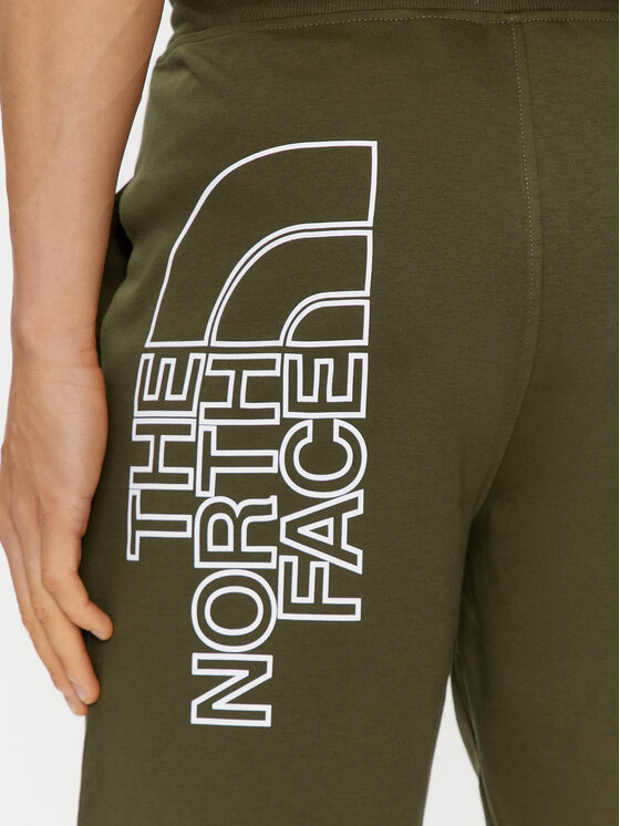 The North Face The North Face Pantaloni scurți sport Graphic NF0A3S4F Verde Regular Fit