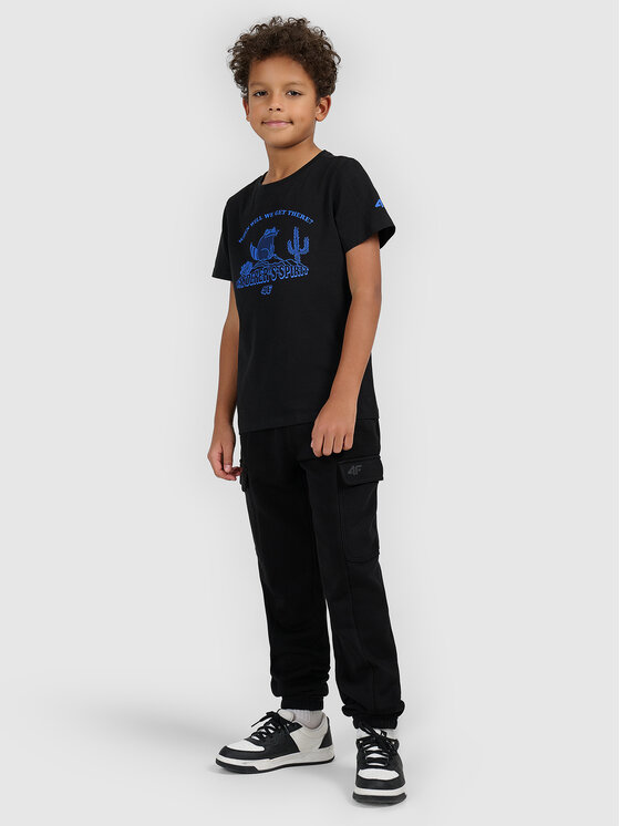4F 4F T-Shirt HIKING TRIP Czarny Regular Fit