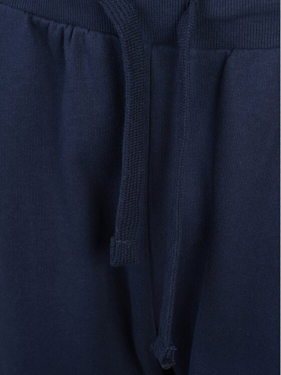 North Sails North Sails Παντελόνι υφασμάτινο 90 3202 000 | Sweatpant W/Graphic Σκούρο μπλε Regular Fit