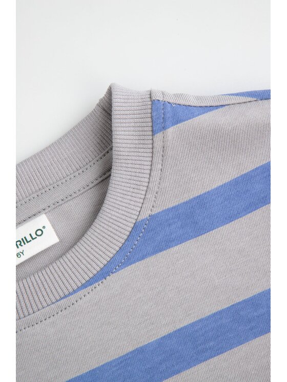 Coccodrillo Coccodrillo Longsleeve ZC6143101WBK-019 Szary Regular Fit