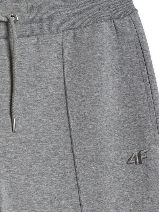 4F 4F Spodnie dresowe SPORT STORIES 25/26 Szary Regular Fit