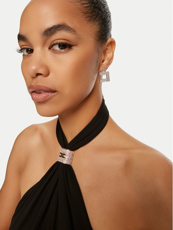 Elisabetta Franchi Elisabetta Franchi Auskarai OR-07-B46E2-V220 Sidabrinė