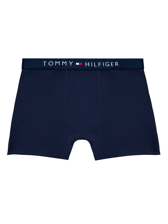 Tommy Hilfiger Tommy Hilfiger 2er-Set Boxershorts UB0UB90005 Bunt