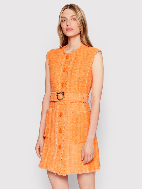 Pinko Vsakodnevna obleka Agira 1G179V 8716 Oranžna Regular Fit