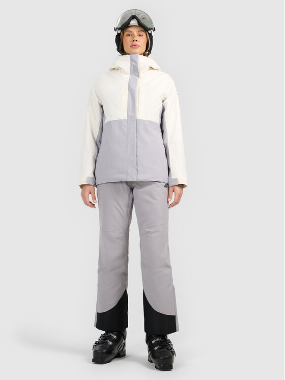 4F 4F Spodnie narciarskie SKIWEAR Szary jasny Regular Fit