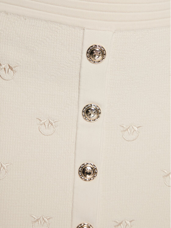 PINKO Pinko Tiesus sijonas 100144 A0HW Smėlio Slim Fit