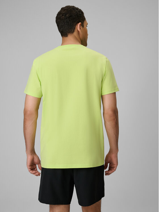 4F 4F T-Shirt BEACHWEAR Zielony jasny Regular Fit