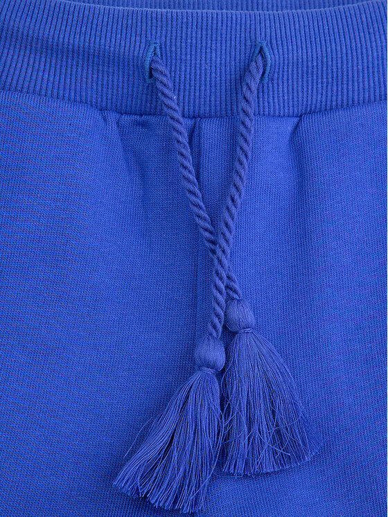 Coccodrillo Coccodrillo Pantaloni scurți sport WC5120401FGK Albastru Regular Fit